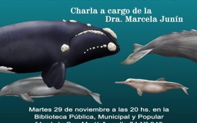 Charla Sobre Fauna Marina