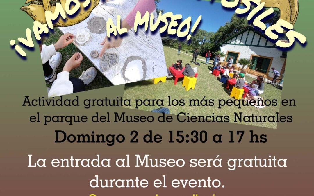 ¡VAMOS A COPIAR FÓSILES AL MUSEO!