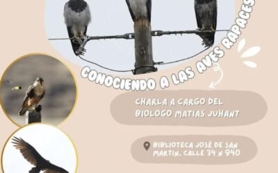 ¡LAS RAPACES ESTÁN MÁS CERCA DE LO QUE CREÉS!