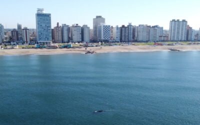 Programa de actividades para vacaciones de invierno