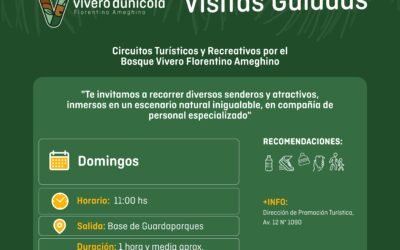VISITAS GUIADAS